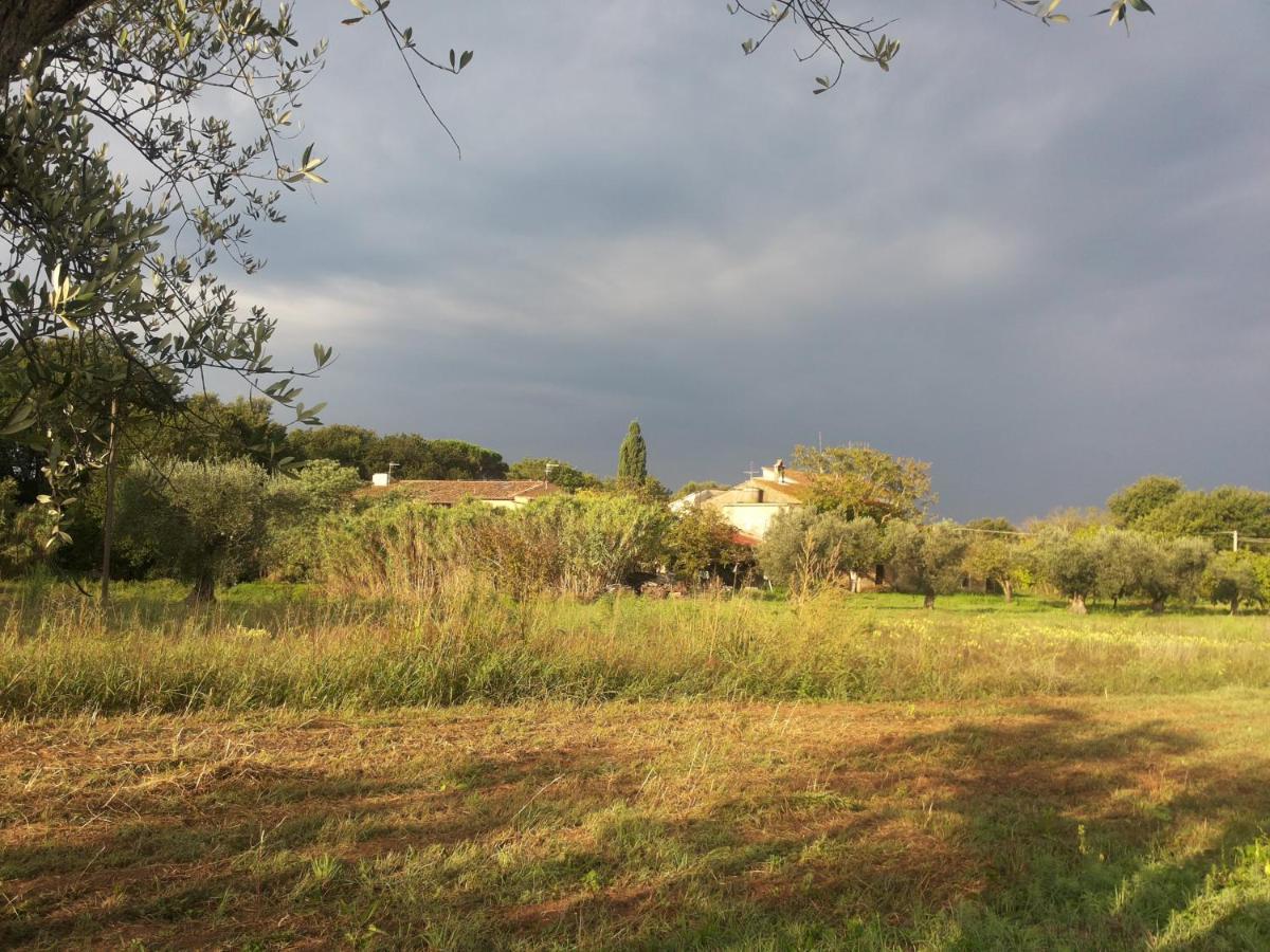 Casa Daria, Armonia Del Passato Nel Rispetto Della Natura Donoratico Exterior foto